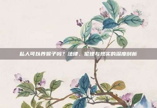 私人可以养猴子吗？法律、伦理与现实的深度剖析