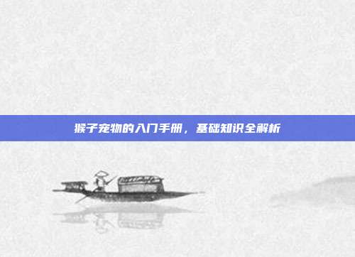猴子宠物的入门手册，基础知识全解析