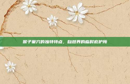 猴子巢穴的独特特点，自然界的临时庇护所