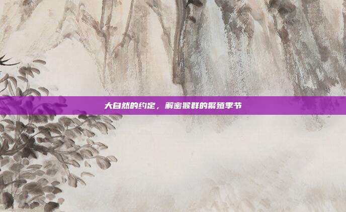 大自然的约定，解密猴群的繁殖季节