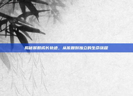 揭秘猴群成长轨迹，从依赖到独立的生命旅程