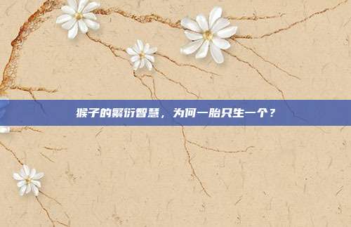 猴子的繁衍智慧，为何一胎只生一个？
