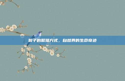 猴子的繁殖方式，自然界的生命奇迹
