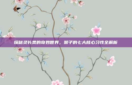 探秘灵长类的奇妙世界，猴子的七大核心习性全解析