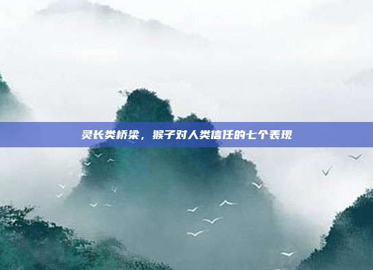 灵长类桥梁，猴子对人类信任的七个表现