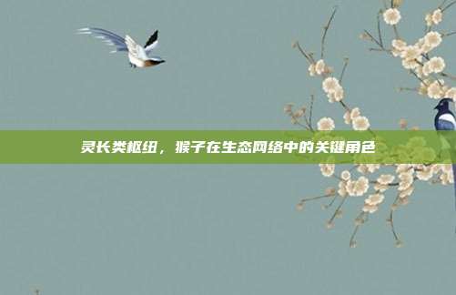 灵长类枢纽，猴子在生态网络中的关键角色