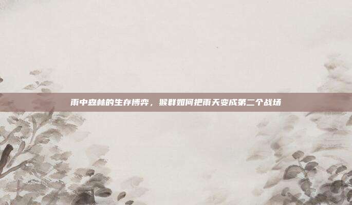 雨中森林的生存博弈，猴群如何把雨天变成第二个战场