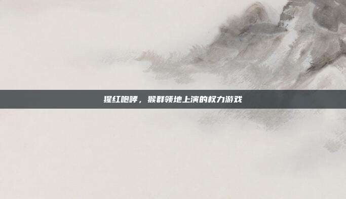 猩红咆哮，猴群领地上演的权力游戏