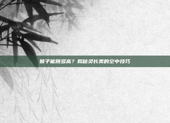 猴子能跳多高？揭秘灵长类的空中技巧