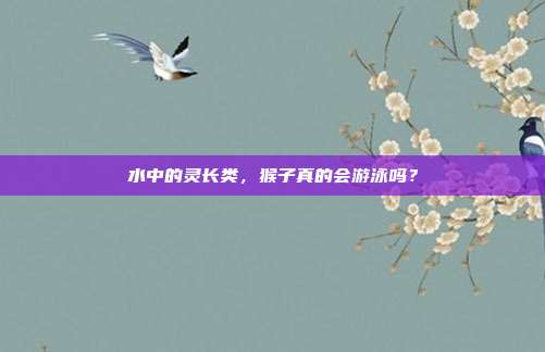 水中的灵长类，猴子真的会游泳吗？
