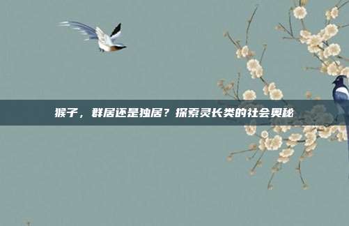 猴子，群居还是独居？探索灵长类的社会奥秘