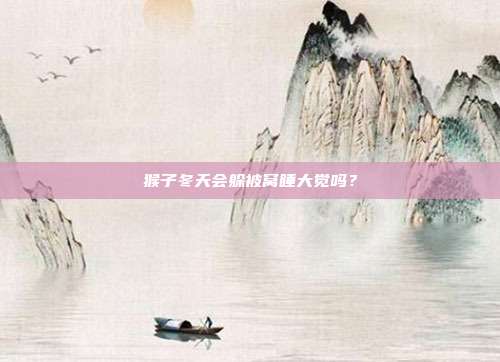 猴子冬天会躲被窝睡大觉吗？