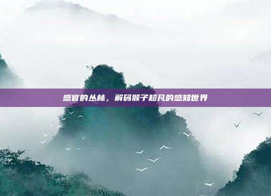 感官的丛林，解码猴子超凡的感知世界