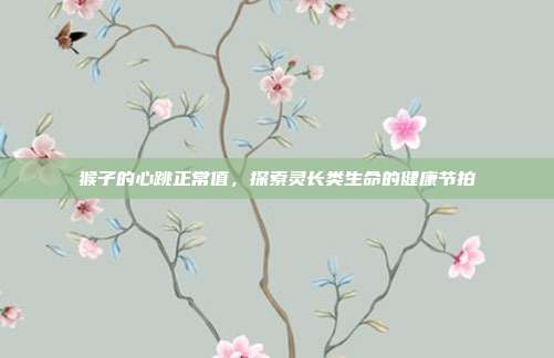 猴子的心跳正常值，探索灵长类生命的健康节拍