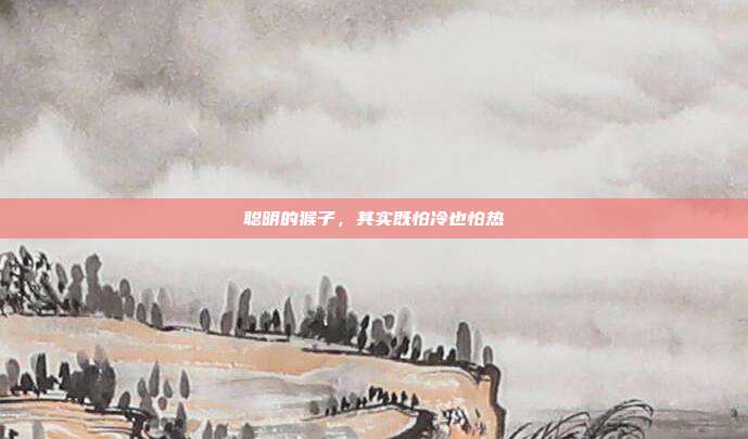 聪明的猴子，其实既怕冷也怕热
