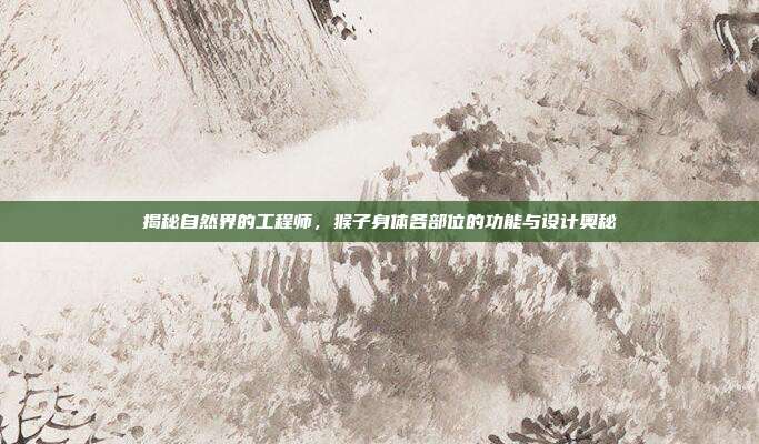 揭秘自然界的工程师，猴子身体各部位的功能与设计奥秘