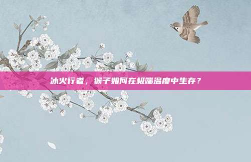 冰火行者，猴子如何在极端温度中生存？