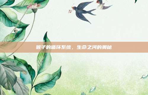 猴子的循环系统，生命之河的奥秘