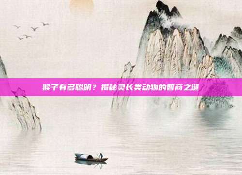猴子有多聪明？揭秘灵长类动物的智商之谜