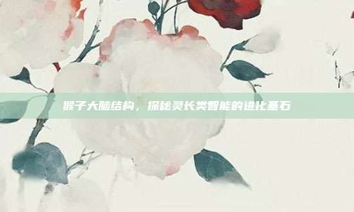猴子大脑结构，探秘灵长类智能的进化基石