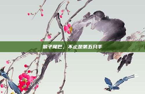 猴子尾巴，不止是第五只手