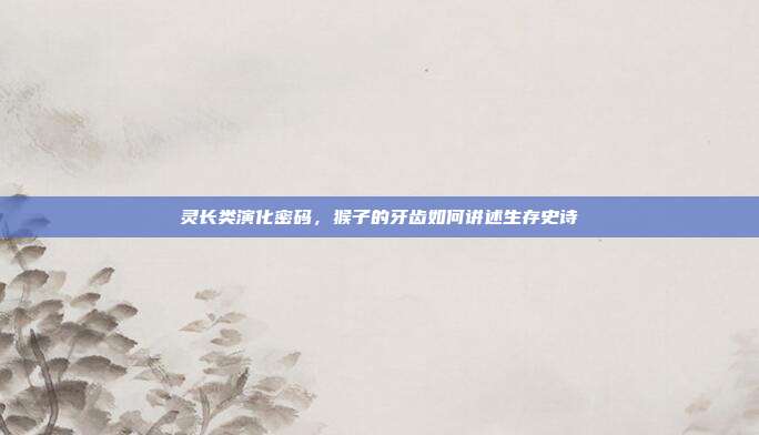 灵长类演化密码，猴子的牙齿如何讲述生存史诗