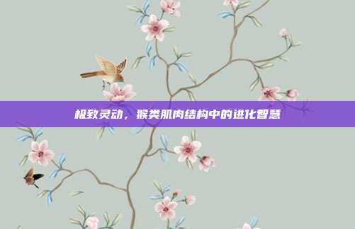 极致灵动，猴类肌肉结构中的进化智慧