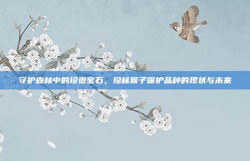 守护森林中的珍贵宝石，珍稀猴子保护品种的现状与未来