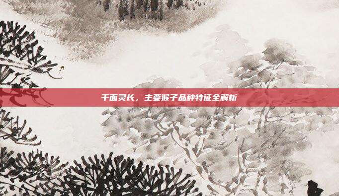 千面灵长，主要猴子品种特征全解析