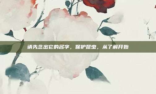 请先念出它的名字，保护昆虫，从了解开始