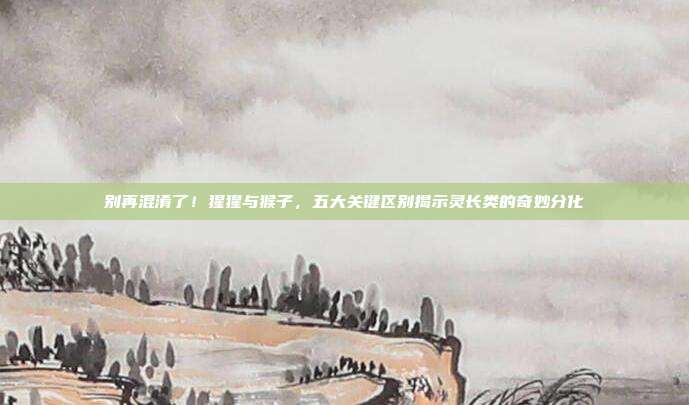 别再混淆了！猩猩与猴子，五大关键区别揭示灵长类的奇妙分化