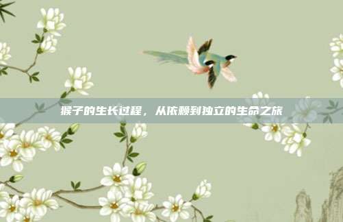 猴子的生长过程，从依赖到独立的生命之旅
