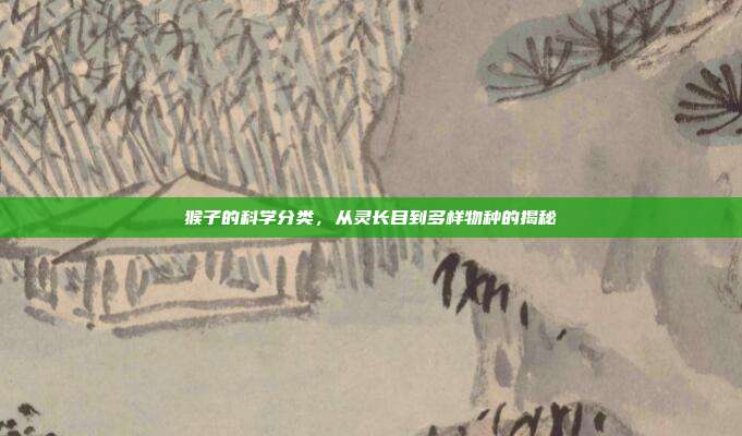 猴子的科学分类，从灵长目到多样物种的揭秘