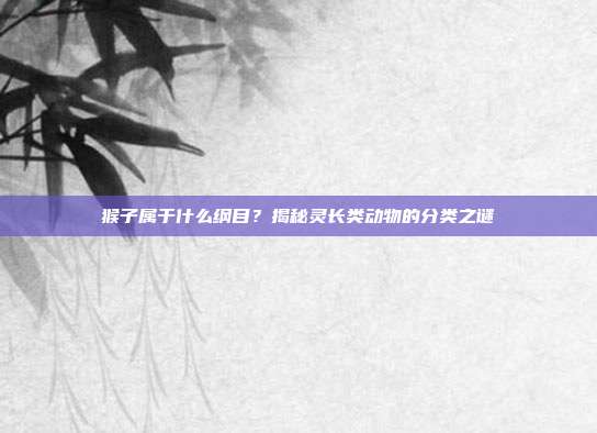 猴子属于什么纲目？揭秘灵长类动物的分类之谜