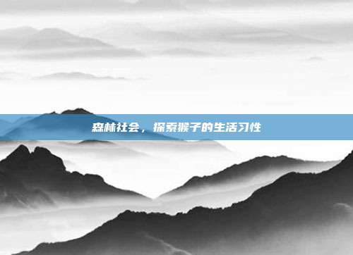 森林社会，探索猴子的生活习性