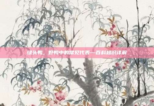 绿头鸭，野鸭中的常见代表—百科知识详解
