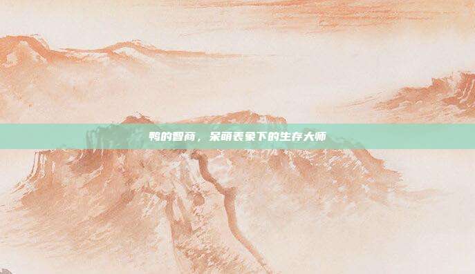 鸭的智商，呆萌表象下的生存大师