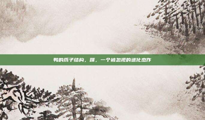 鸭的爪子结构，蹼，一个被忽视的进化杰作
