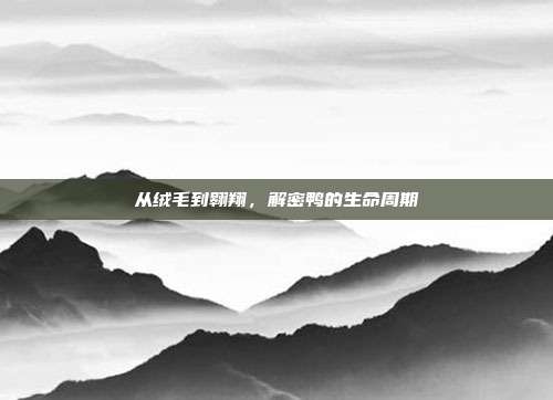 从绒毛到翱翔，解密鸭的生命周期