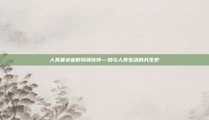人类最亲密的羽翼伙伴—鸡与人类生活的共生史