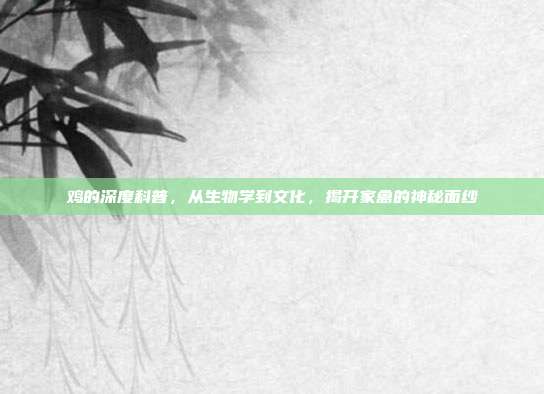 鸡的深度科普，从生物学到文化，揭开家禽的神秘面纱