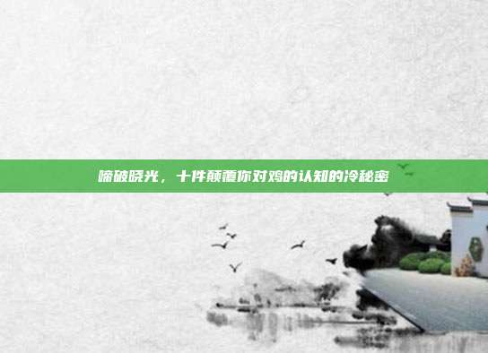 啼破晓光，十件颠覆你对鸡的认知的冷秘密