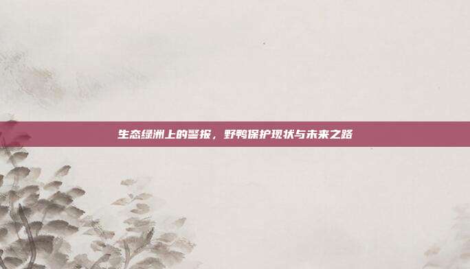生态绿洲上的警报，野鸭保护现状与未来之路