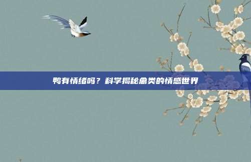 鸭有情绪吗？科学揭秘禽类的情感世界