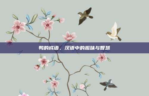 鸭的成语，汉语中的趣味与智慧