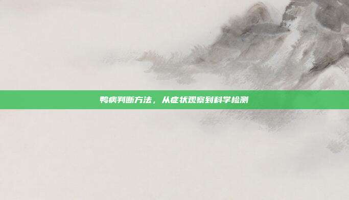 鸭病判断方法，从症状观察到科学检测