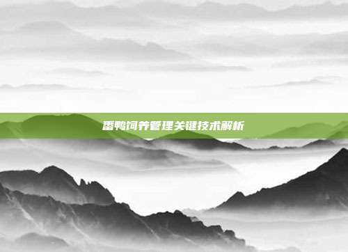 番鸭饲养管理关键技术解析