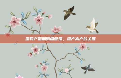蛋鸭产蛋期精细管理，稳产高产的关键