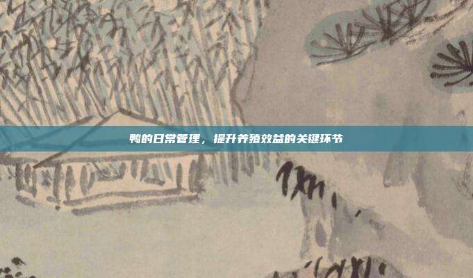 鸭的日常管理，提升养殖效益的关键环节