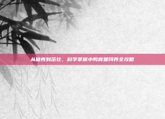 从破壳到茁壮，科学掌握小鸭育雏饲养全攻略